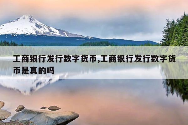 工商银行发行数字货币,工商银行发行数字货币是真的吗