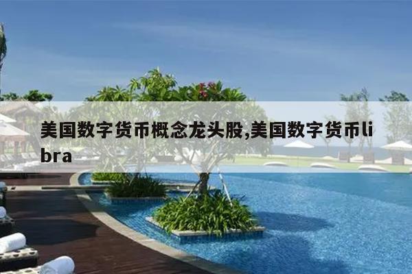 美国数字货币概念龙头股,美国数字货币libra