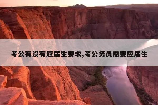 考公有没有应届生要求,考公务员需要应届生