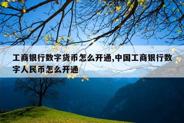 工商银行数字货币怎么开通,中国工商银行数字人民币怎么开通