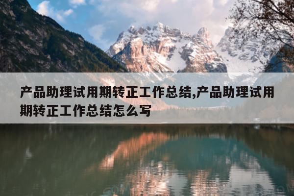 产品助理试用期转正工作总结,产品助理试用期转正工作总结怎么写