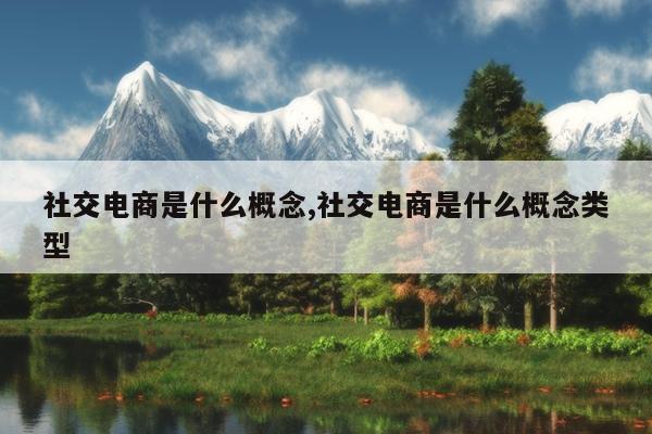 社交电商是什么概念,社交电商是什么概念类型