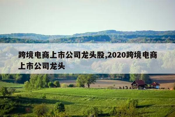 跨境电商上市公司龙头股,2020跨境电商上市公司龙头