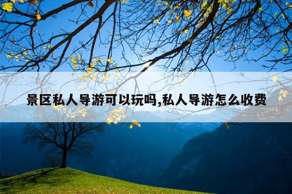 景区私人导游可以玩吗,私人导游怎么收费