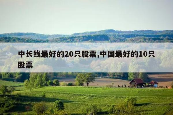 中长线最好的20只股票,中国最好的10只股票