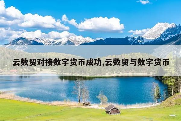 云数贸对接数字货币成功,云数贸与数字货币