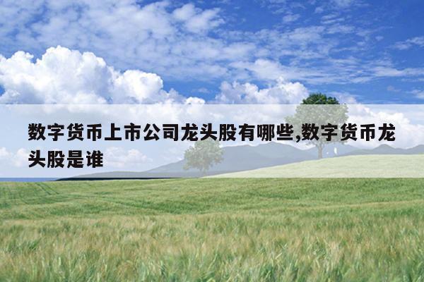 数字货币上市公司龙头股有哪些,数字货币龙头股是谁