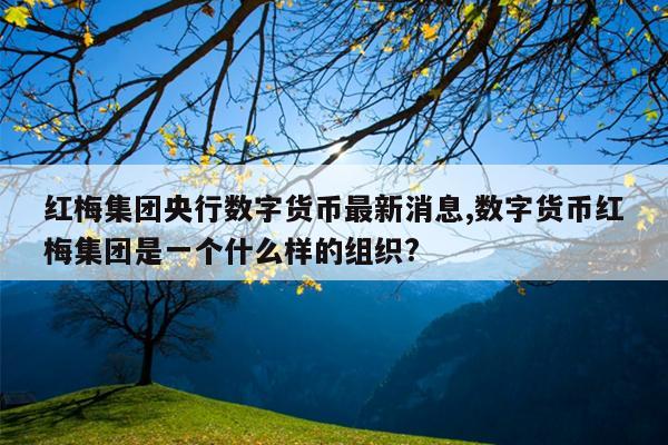 红梅集团央行数字货币最新消息,数字货币红梅集团是一个什么样的组织?