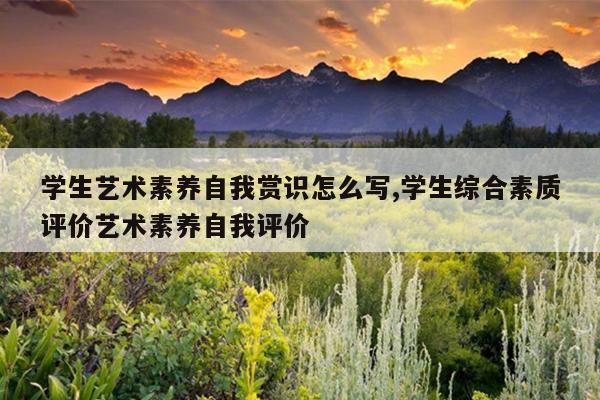 学生艺术素养自我赏识怎么写,学生综合素质评价艺术素养自我评价