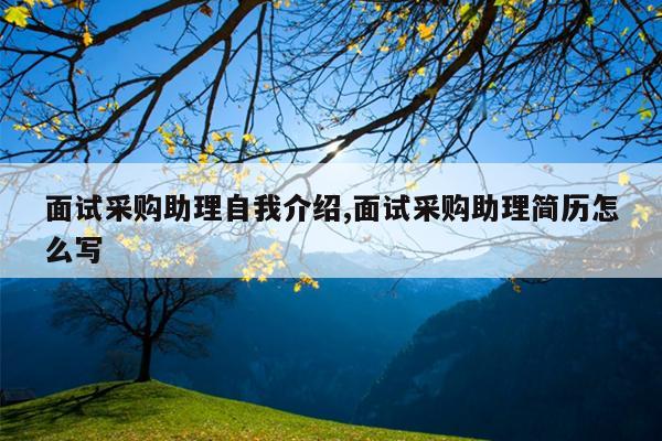 面试采购助理自我介绍,面试采购助理简历怎么写