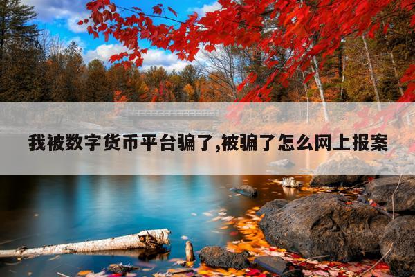 我被数字货币平台骗了,被骗了怎么网上报案