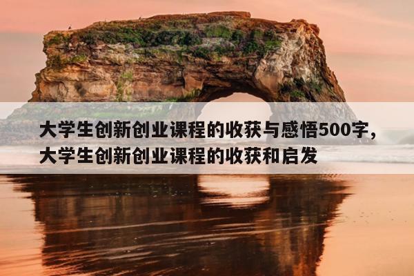 大学生创新创业课程的收获与感悟500字,大学生创新创业课程的收获和启发