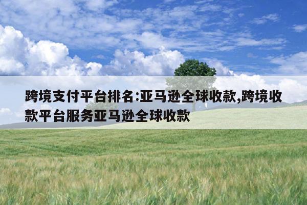 跨境支付平台排名:亚马逊全球收款,跨境收款平台服务亚马逊全球收款
