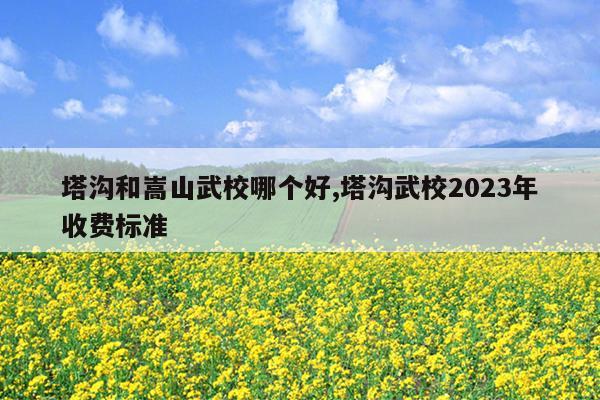 塔沟和嵩山武校哪个好,塔沟武校2023年收费标准