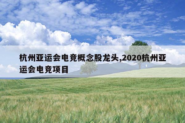 杭州亚运会电竞概念股龙头,2020杭州亚运会电竞项目