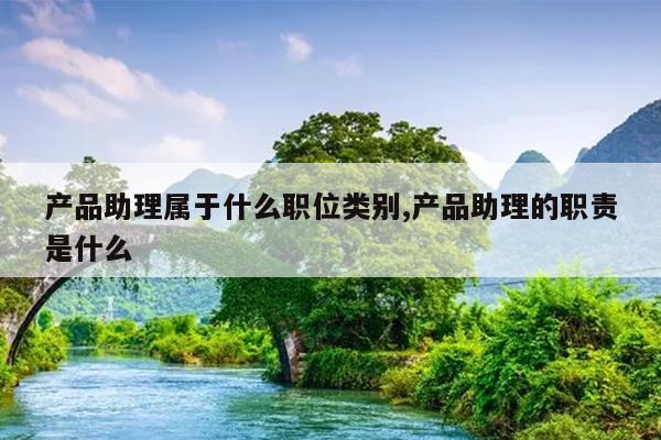 产品助理属于什么职位类别,产品助理的职责是什么