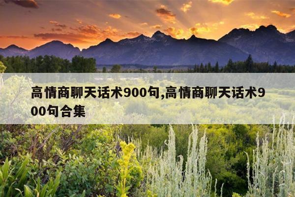 高情商聊天话术900句,高情商聊天话术900句合集