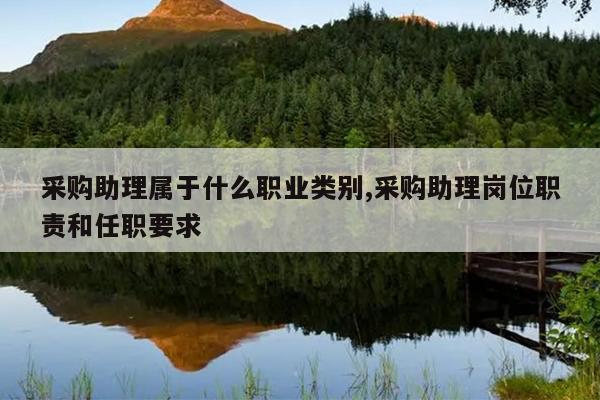 采购助理属于什么职业类别,采购助理岗位职责和任职要求