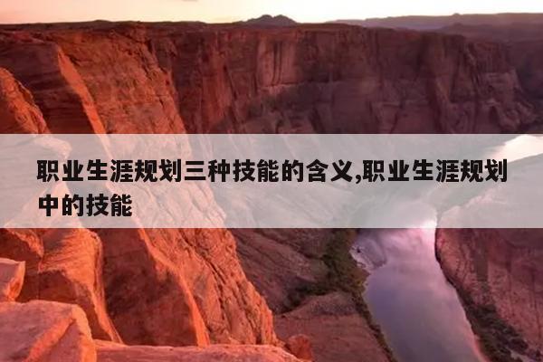 职业生涯规划三种技能的含义,职业生涯规划中的技能