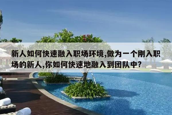 新人如何快速融入职场环境,做为一个刚入职场的新人,你如何快速地融入到团队中?