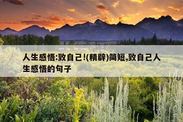 人生感悟:致自己!(精辟)简短,致自己人生感悟的句子
