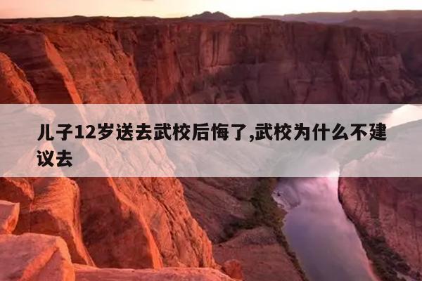 儿子12岁送去武校后悔了,武校为什么不建议去