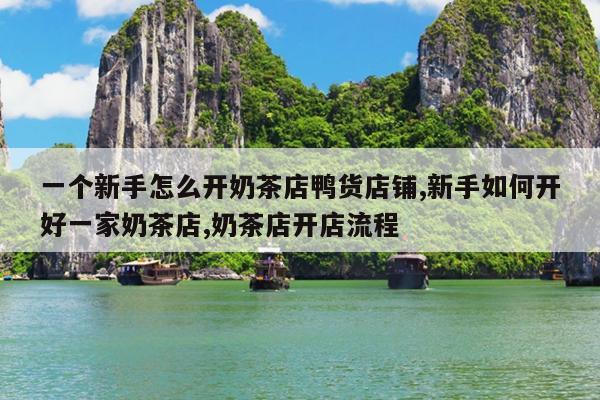 一个新手怎么开奶茶店鸭货店铺,新手如何开好一家奶茶店,奶茶店开店流程