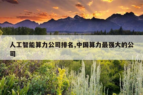 人工智能算力公司排名,中国算力最强大的公司