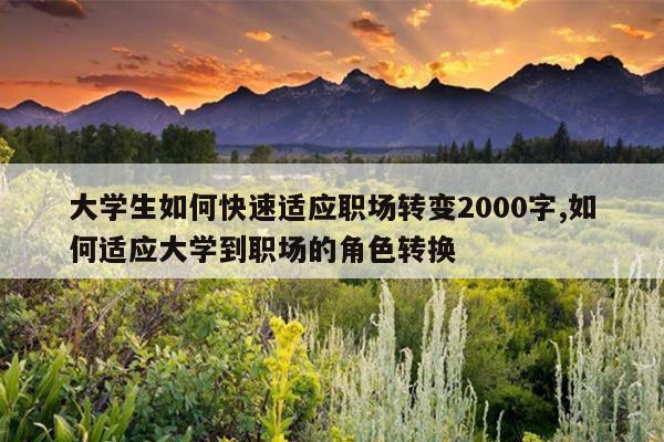 大学生如何快速适应职场转变2000字,如何适应大学到职场的角色转换