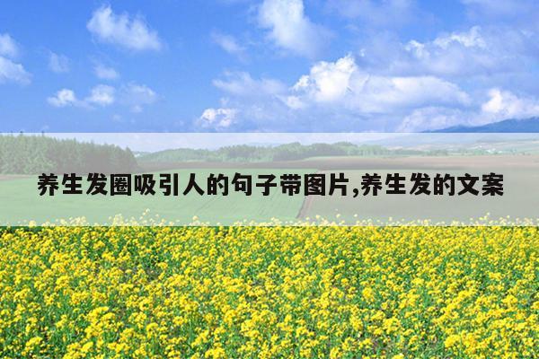 养生发圈吸引人的句子带图片,养生发的文案