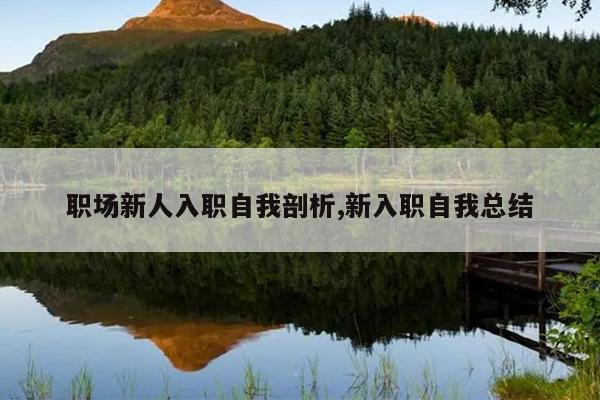 职场新人入职自我剖析,新入职自我总结