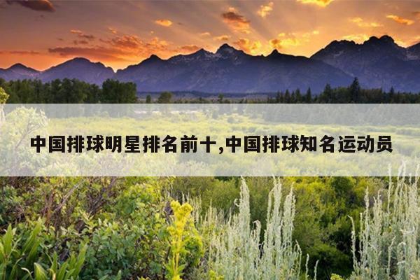 中国排球明星排名前十,中国排球知名运动员