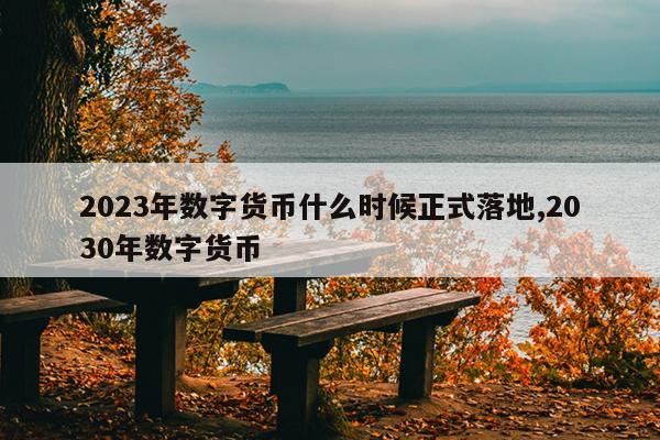 2023年数字货币什么时候正式落地,2030年数字货币