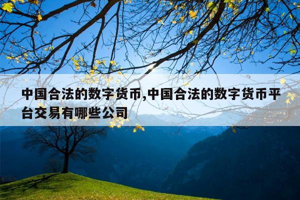 中国合法的数字货币,中国合法的数字货币平台交易有哪些公司