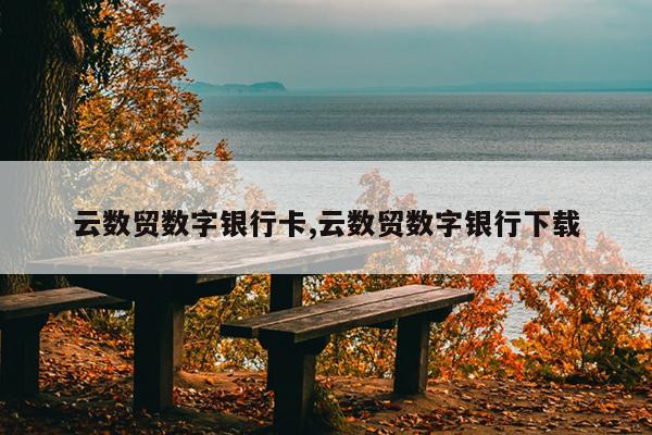 云数贸数字银行卡,云数贸数字银行下载