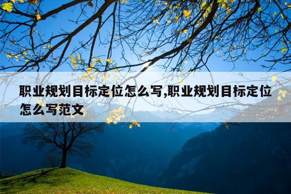 职业规划目标定位怎么写,职业规划目标定位怎么写范文