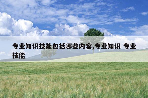 专业知识技能包括哪些内容,专业知识 专业技能