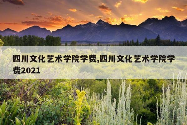四川文化艺术学院学费,四川文化艺术学院学费2021
