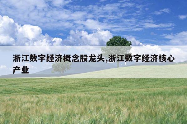浙江数字经济概念股龙头,浙江数字经济核心产业