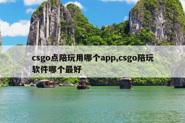 csgo点陪玩用哪个app,csgo陪玩软件哪个最好