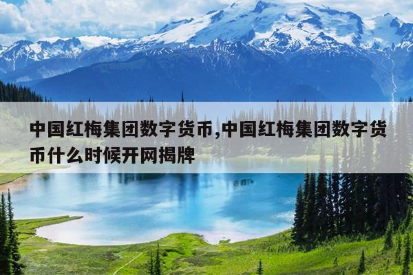 中国红梅集团数字货币,中国红梅集团数字货币什么时候开网揭牌