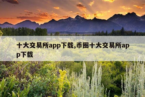 十大交易所app下载,币圈十大交易所app下载