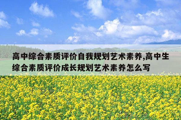 高中综合素质评价自我规划艺术素养,高中生综合素质评价成长规划艺术素养怎么写