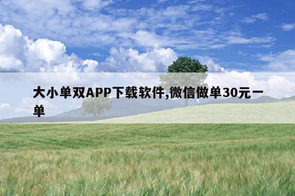 大小单双APP下载软件,微信做单30元一单