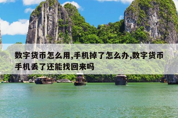 数字货币怎么用,手机掉了怎么办,数字货币手机丢了还能找回来吗