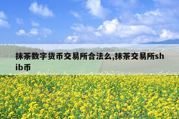 抹茶数字货币交易所合法么,抹茶交易所shib币