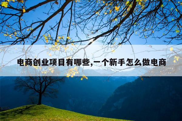 电商创业项目有哪些,一个新手怎么做电商