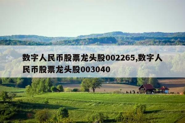 数字人民币股票龙头股002265,数字人民币股票龙头股003040