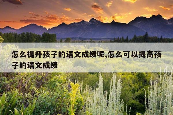怎么提升孩子的语文成绩呢,怎么可以提高孩子的语文成绩