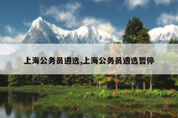 上海公务员遴选,上海公务员遴选暂停